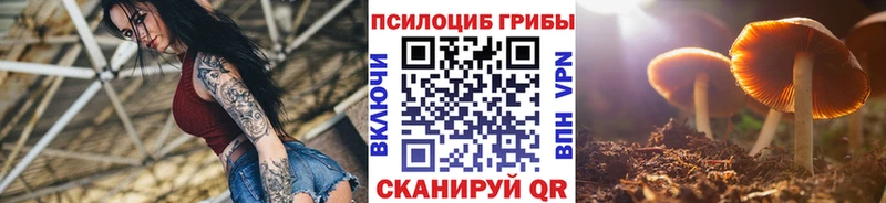 KRAKEN маркетплейс  Туран  Псилоцибиновые грибы GOLDEN TEACHER  наркота 